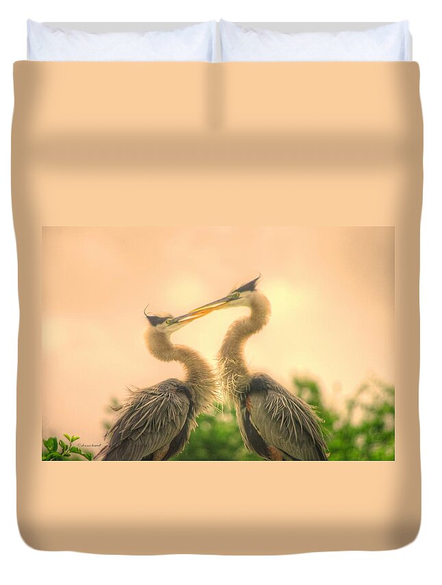 Blue Herons Duvet Cover featuring the photograph Lovebirds by Dennis Baswell