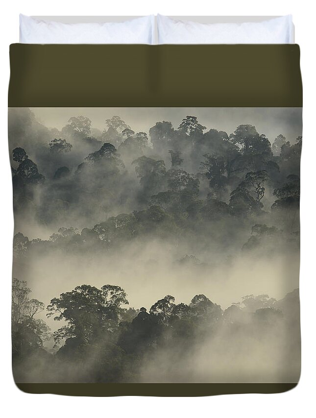 Ch'ien Lee Duvet Cover featuring the photograph Lowland Primary Forest At Sunrise by Ch'ien Lee