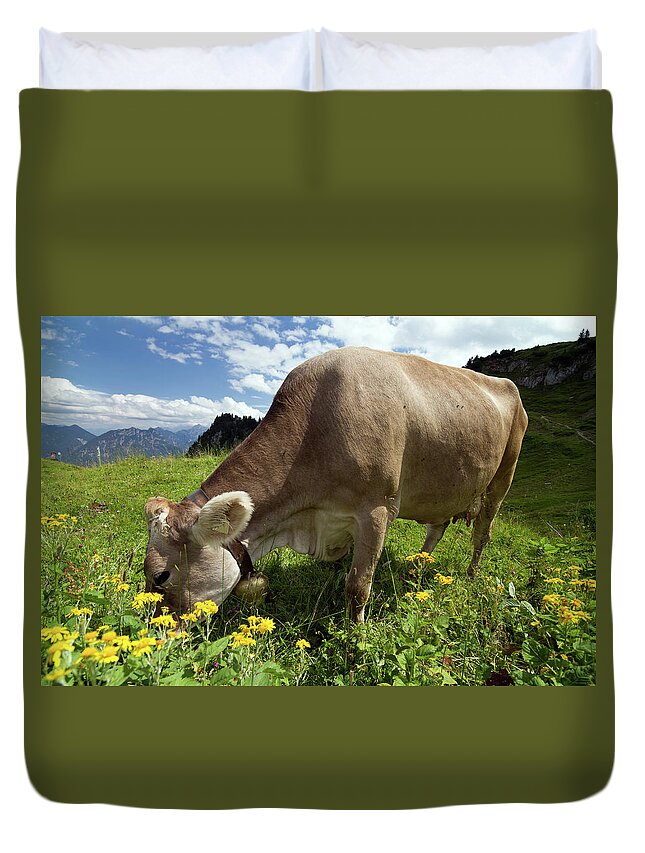 Milk Duvet Cover featuring the photograph Lucky Cow by Landschaftsfoto