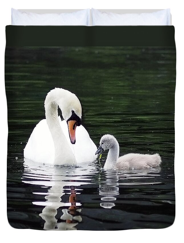 Swan Duvet Cover featuring the photograph Lunchtime for Swan and Cygnet by Rona Black