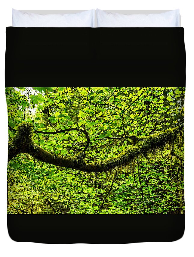 Tree Duvet Cover featuring the photograph Lush by Chad Dutson