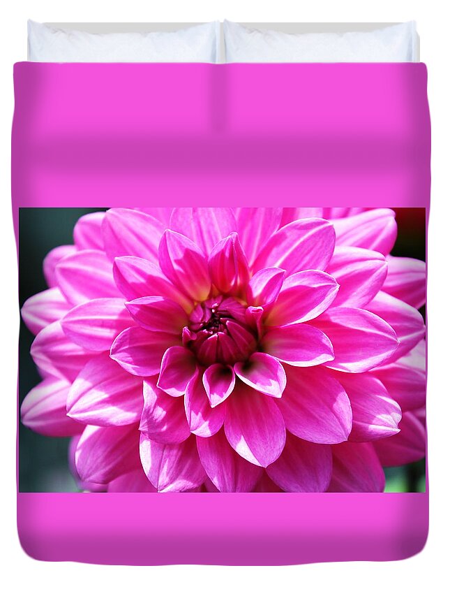 Flowers Duvet Cover featuring the photograph Lush Pink Dahlia by Judy Palkimas
