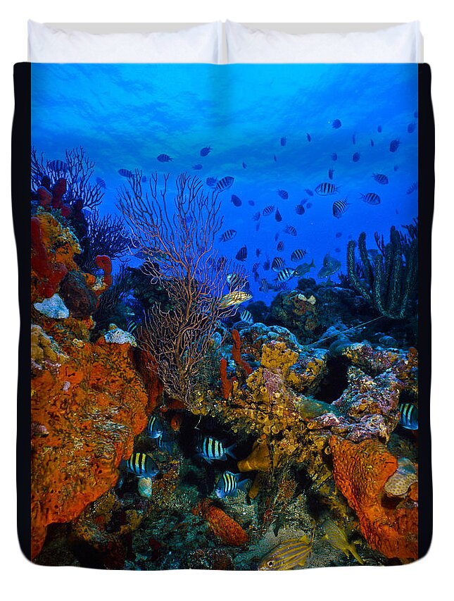 Art Duvet Cover featuring the photograph Lynns Reef by Sandra Edwards