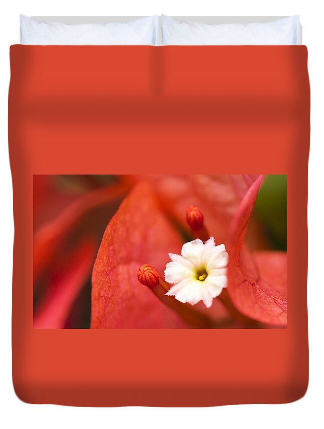Hawaii Duvet Cover featuring the photograph Macro Bougainvillea bloom 1 by Leigh Anne Meeks