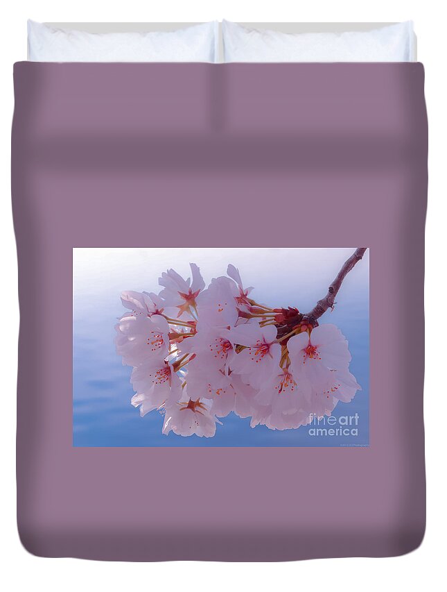 2012 Centennial Celebration Duvet Cover featuring the photograph Macro DC Cherry Blossoms by Jeff at JSJ Photography