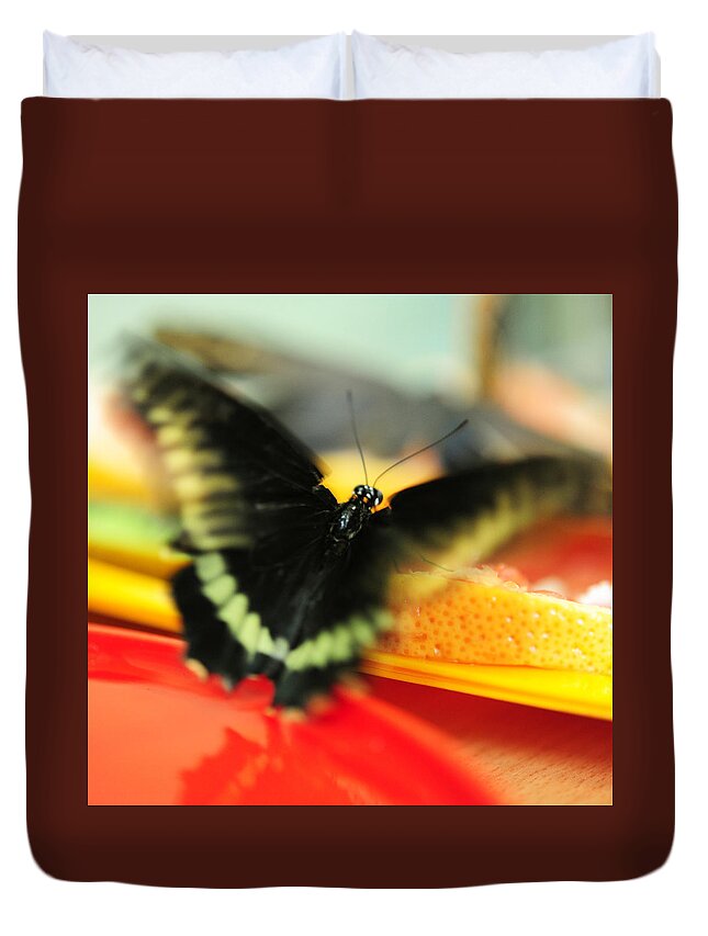 Butterfly Duvet Cover featuring the photograph Madame Butterfly. Impressionism by Jenny Rainbow