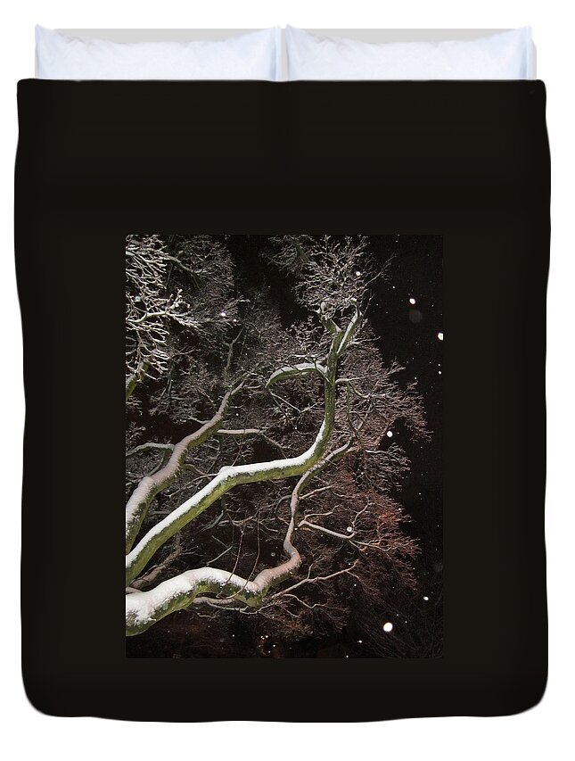 Tree Duvet Cover featuring the photograph Magic tree by Rosita Larsson