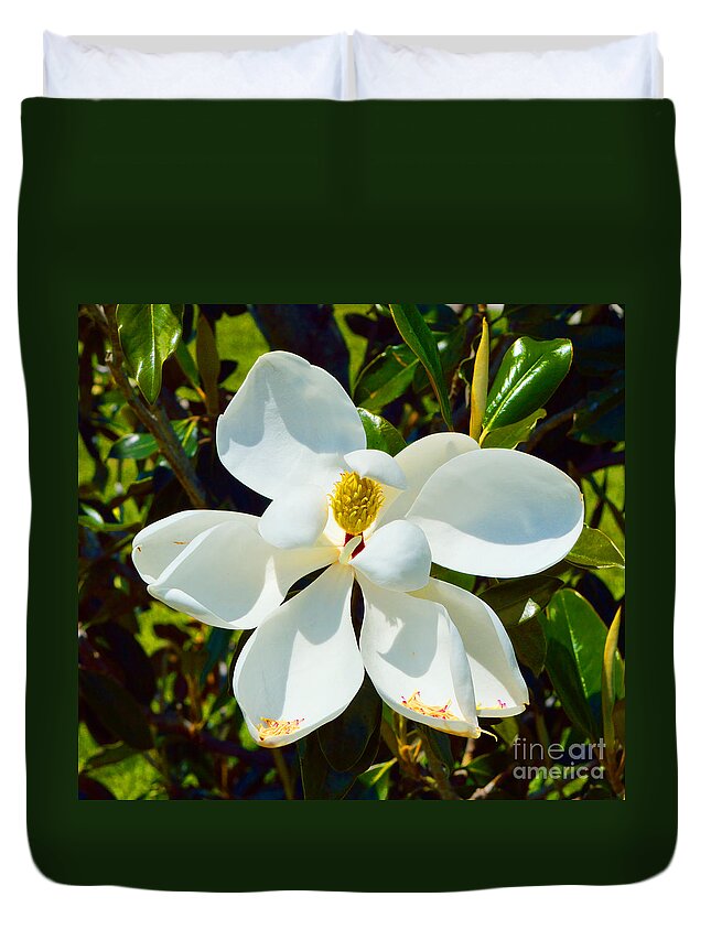 Magnolia Duvet Cover featuring the photograph Magnolia Blossom by Alys Caviness-Gober