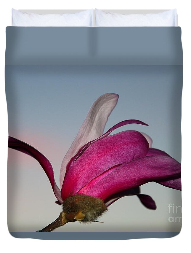 Beautiful Duvet Cover featuring the photograph Magnolia Blossom in the Sunset by Amanda Mohler