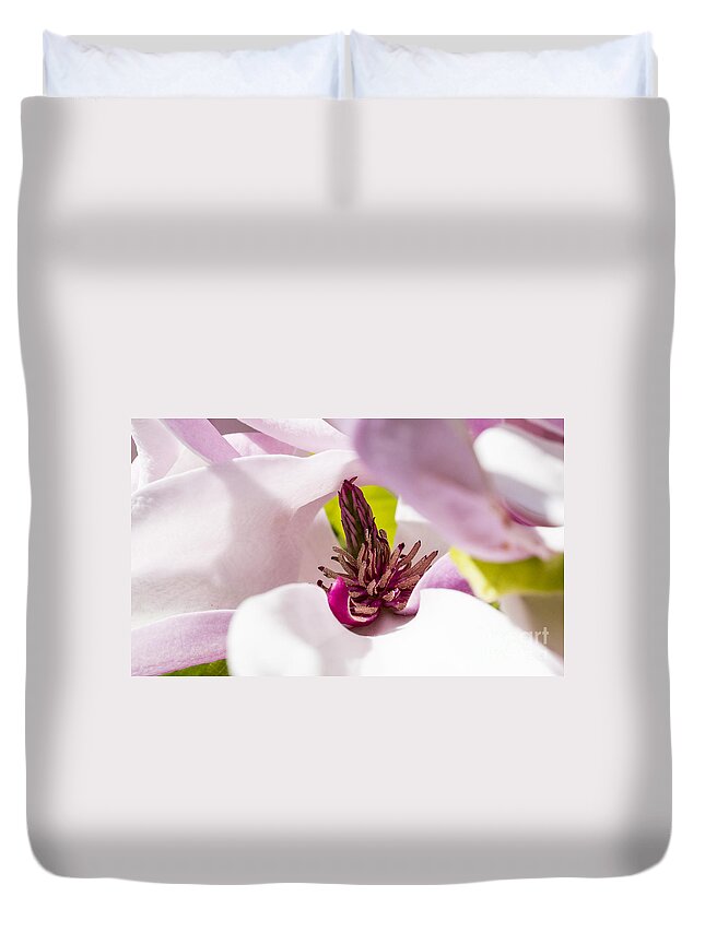 Arboretum Duvet Cover featuring the photograph Magnolia flower by Steven Ralser