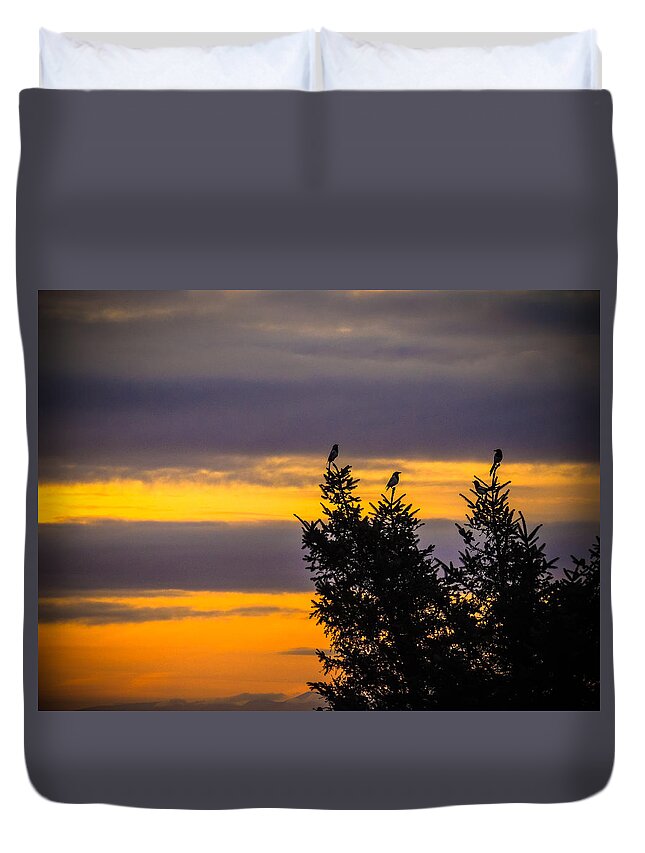 Magpies Duvet Cover featuring the photograph Magpies at Sunrise by James Truett