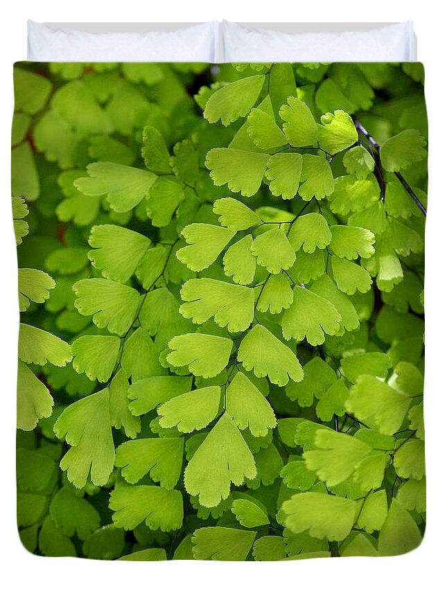 Fern Duvet Cover featuring the photograph Maidenhair Fern by Art Block Collections