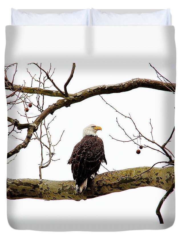 Eagle Duvet Cover featuring the photograph The Majestic by Trina Ansel
