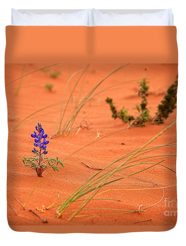 Utah Duvet Cover featuring the photograph Make your own Kind of Music by Jim Garrison