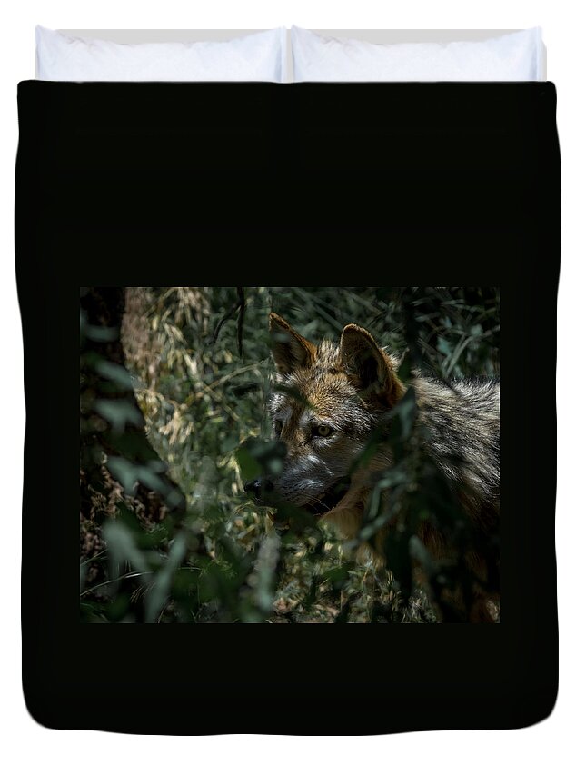 Wolf Duvet Cover featuring the photograph Making Rounds by Ernest Echols