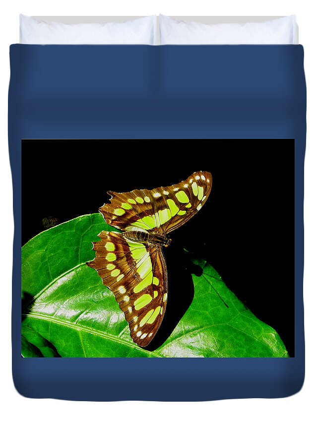 Nature Duvet Cover featuring the photograph Malachite Butterfly by Judy Wanamaker