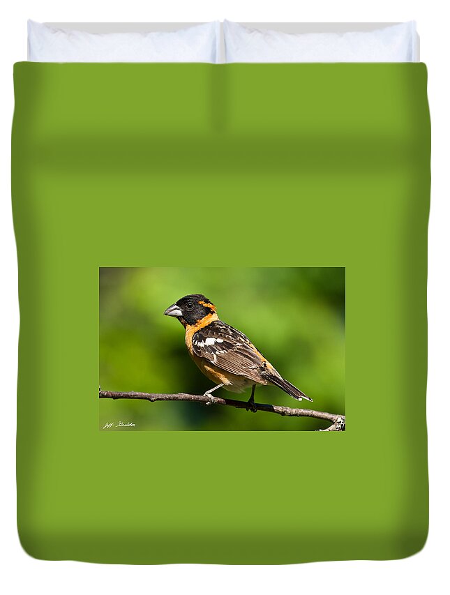 Animal Duvet Cover featuring the photograph Male Black Headed Grosbeak in a Tree by Jeff Goulden