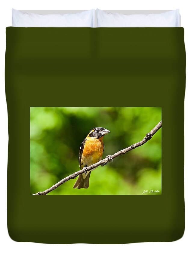 Adult Duvet Cover featuring the photograph Male Black Headed Grosbeak by Jeff Goulden