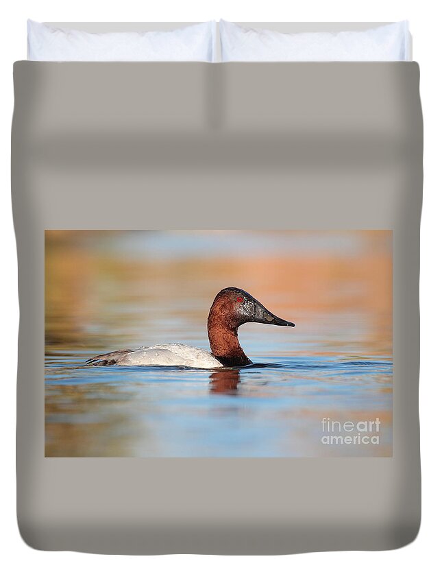 Duck Duvet Cover featuring the photograph Male Canvasback by Ruth Jolly