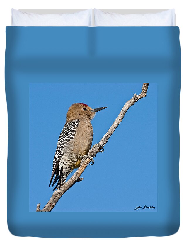 Animal Duvet Cover featuring the photograph Male Gila Woodpecker by Jeff Goulden