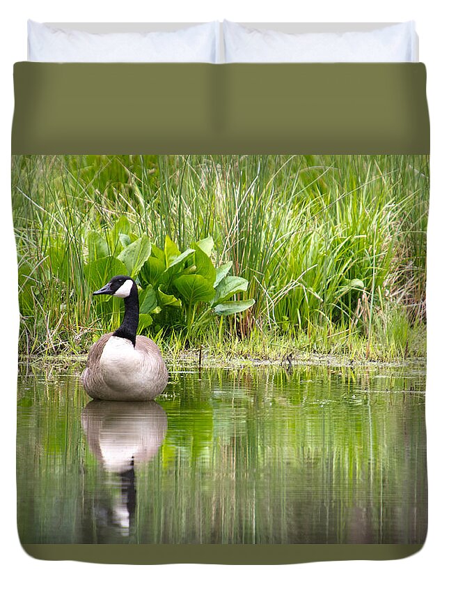 Male Canadian Goose Duvet Cover featuring the photograph Male Goose by Crystal Wightman