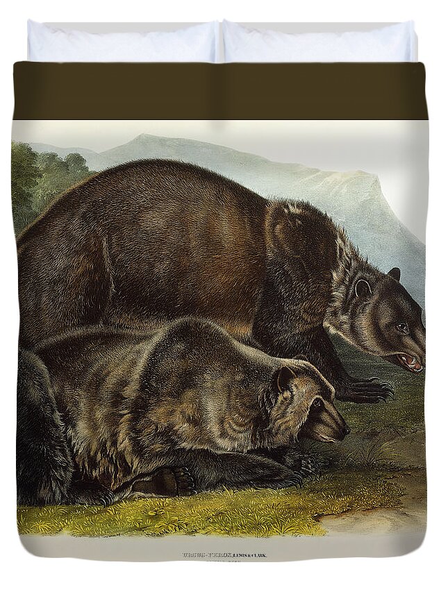 Male Grizzly Bear Duvet Cover For Sale By Audubon
