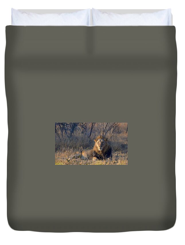 Africa Duvet Cover featuring the photograph Male Lion Resting at Kruger by Jeff at JSJ Photography