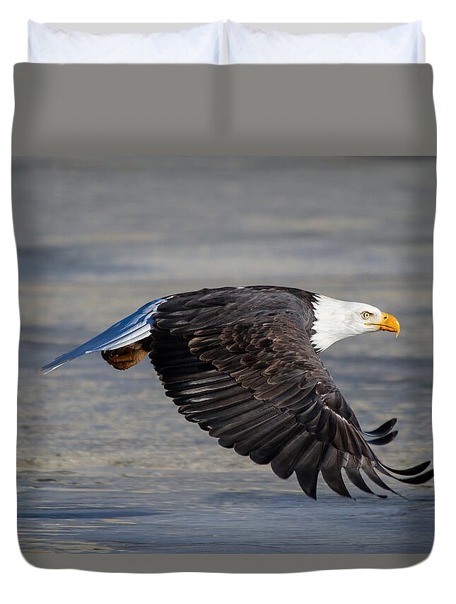Bald.male Duvet Cover featuring the photograph Male wild bald eagle ready to land by Eti Reid