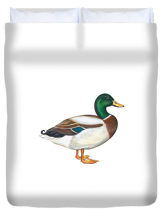 No People; Horizontal; Side View; Full Length; White Background; One Animal; Wildlife; Close Up; Zoology; Illustration And Painting; Bird; Beak; Feather; Web; Animal Pattern; Colorful; Mallard Duck; Anas Platyrhynchos Duvet Cover featuring the painting Mallard duck by Anonymous