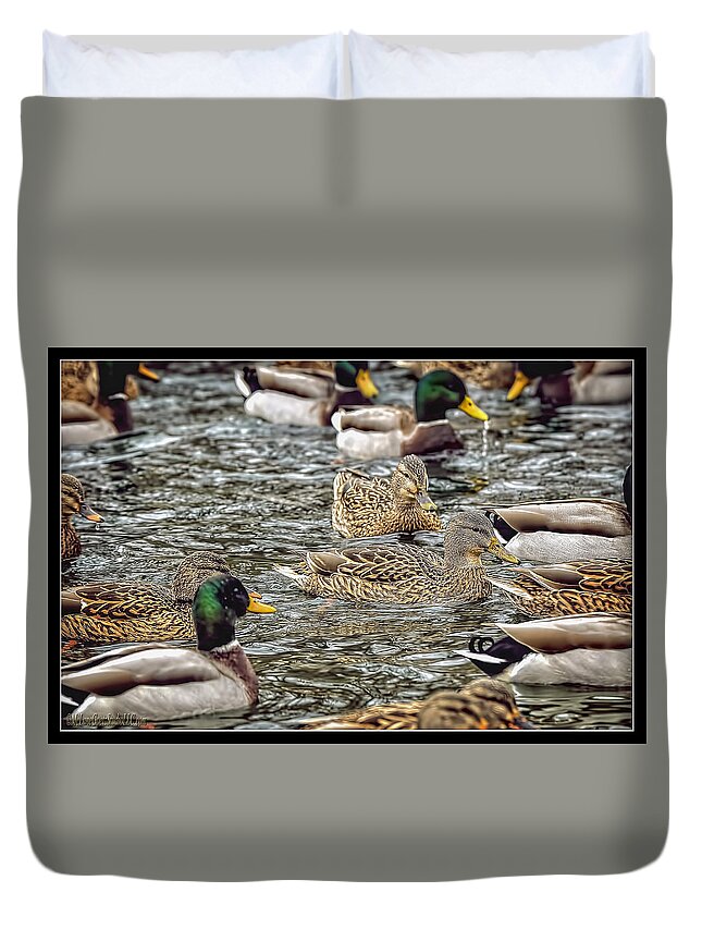 Mallard Duvet Cover featuring the photograph Mallard Duck Pond by LeeAnn McLaneGoetz McLaneGoetzStudioLLCcom
