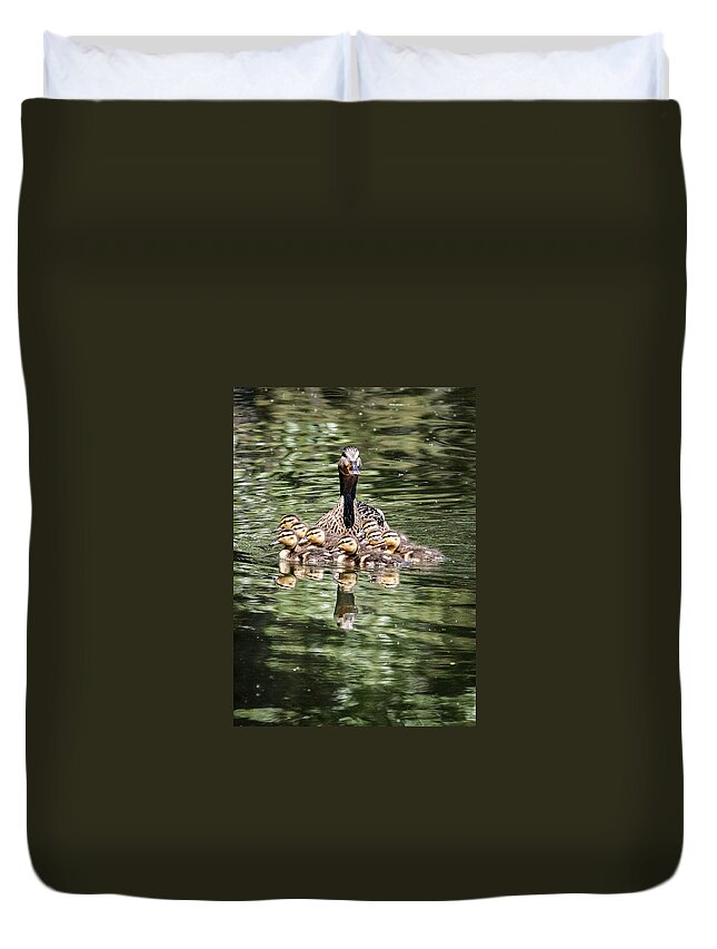 Anas Platyrhynchos Duvet Cover featuring the photograph Mallard Hen with Ducklings and Reflection by Dawn Key