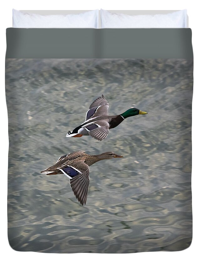 Ducks Duvet Cover featuring the photograph Mallards on the Move by Holden The Moment