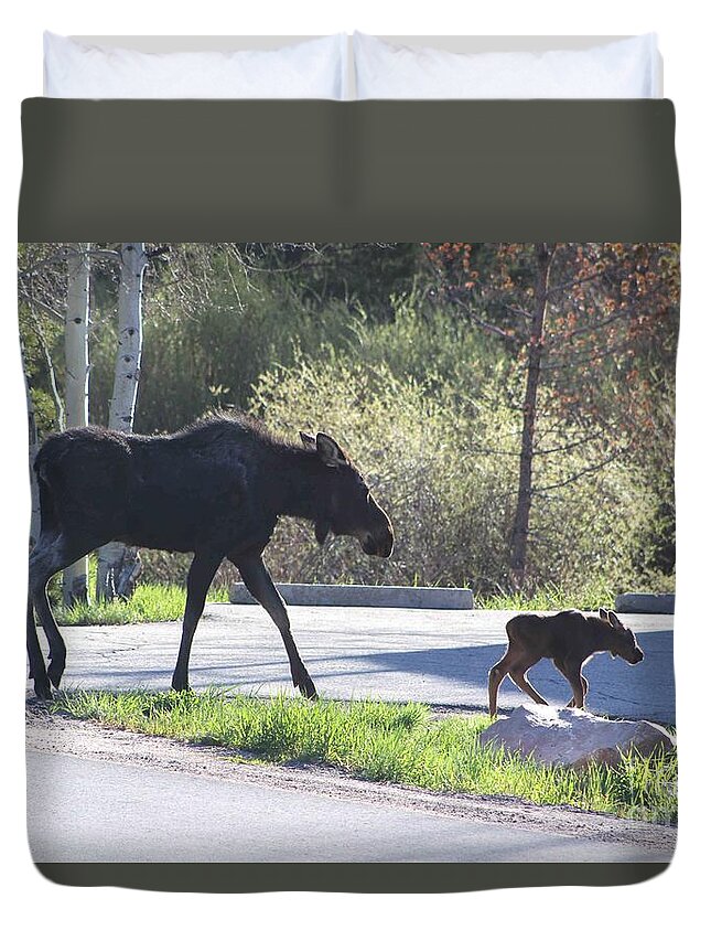 Cow Moose Duvet Cover featuring the photograph Mama and Baby Moose by Fiona Kennard