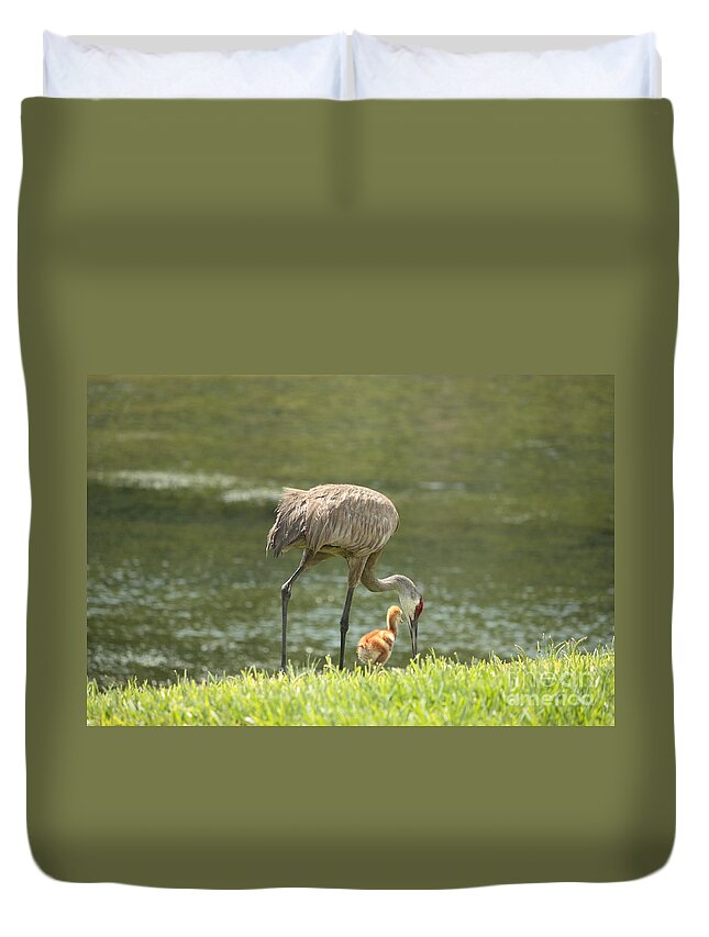 Sandhill Crane Duvet Cover featuring the photograph Mama and Chick by Carol Groenen