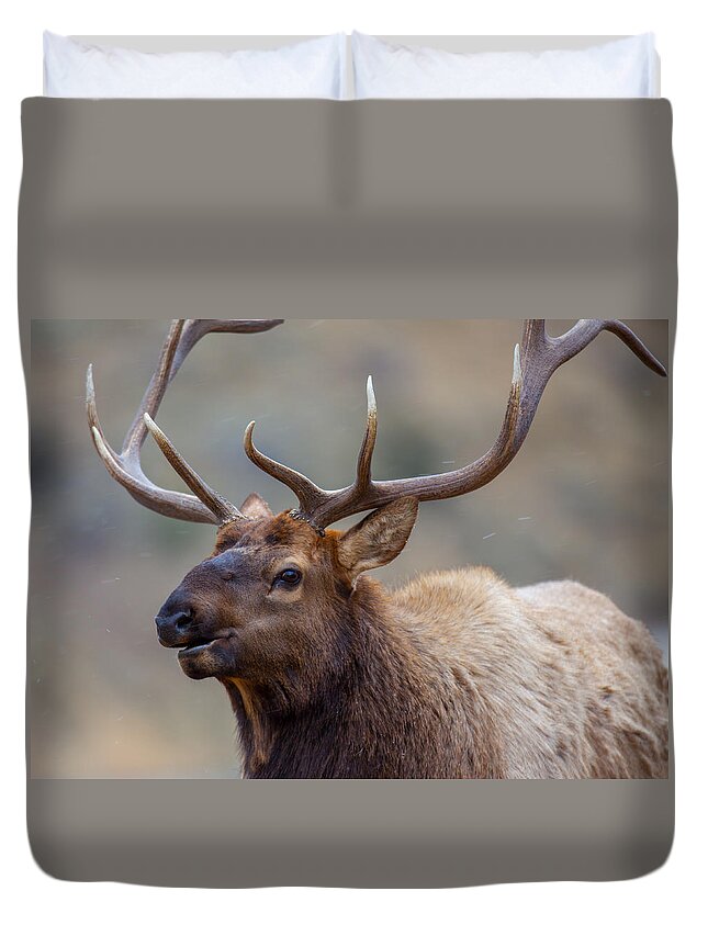 Wildlife Duvet Cover featuring the photograph Mammoth Bull by Kevin Dietrich