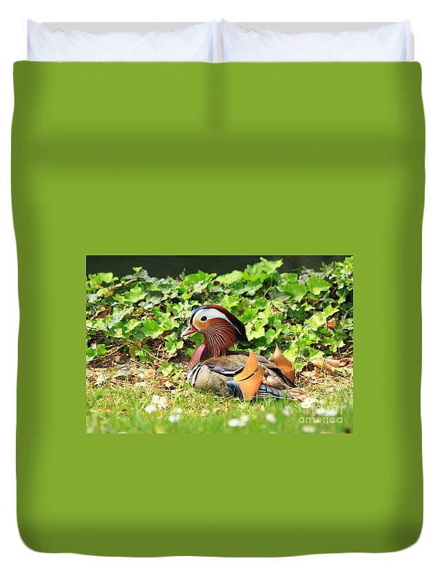 Animal Duvet Cover featuring the photograph Mandarin Duck in the grass by Amanda Mohler