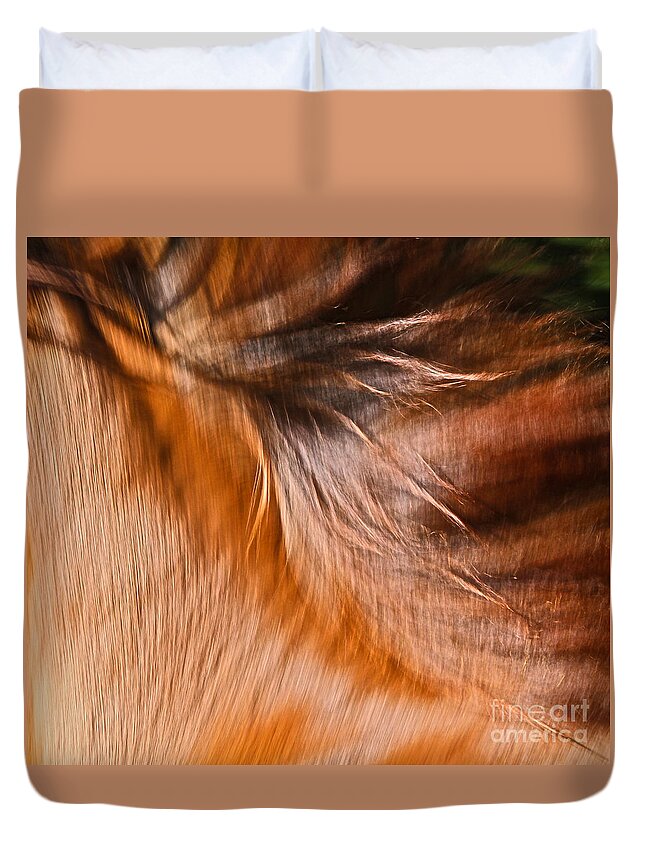 Nature Duvet Cover featuring the photograph Mane Dance Light by Michelle Twohig