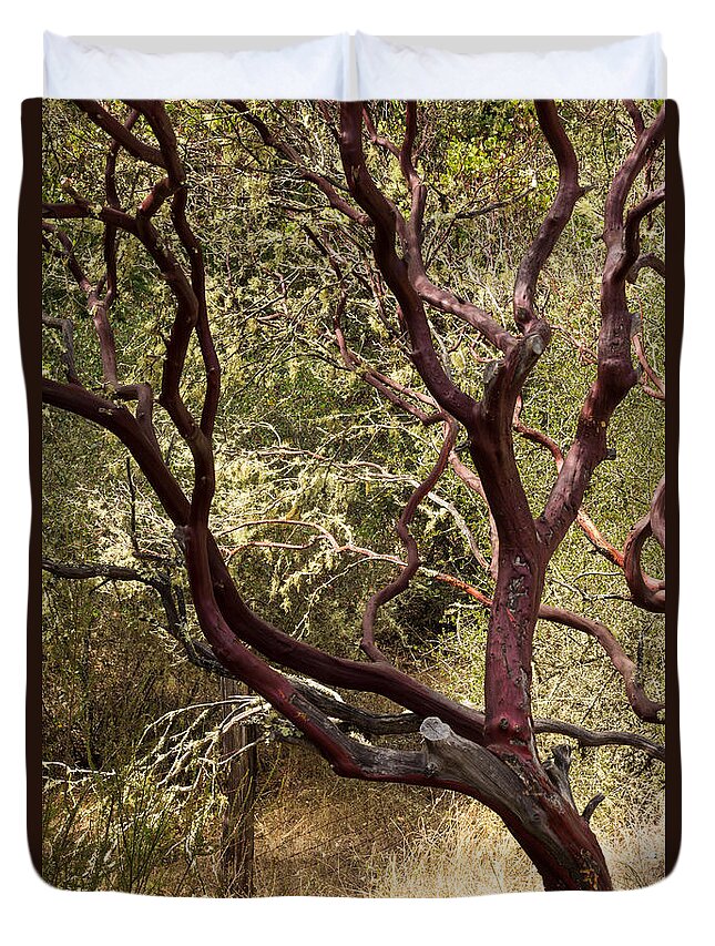 Manzanita Duvet Cover featuring the photograph Manzanita Tree by Suzanne Luft