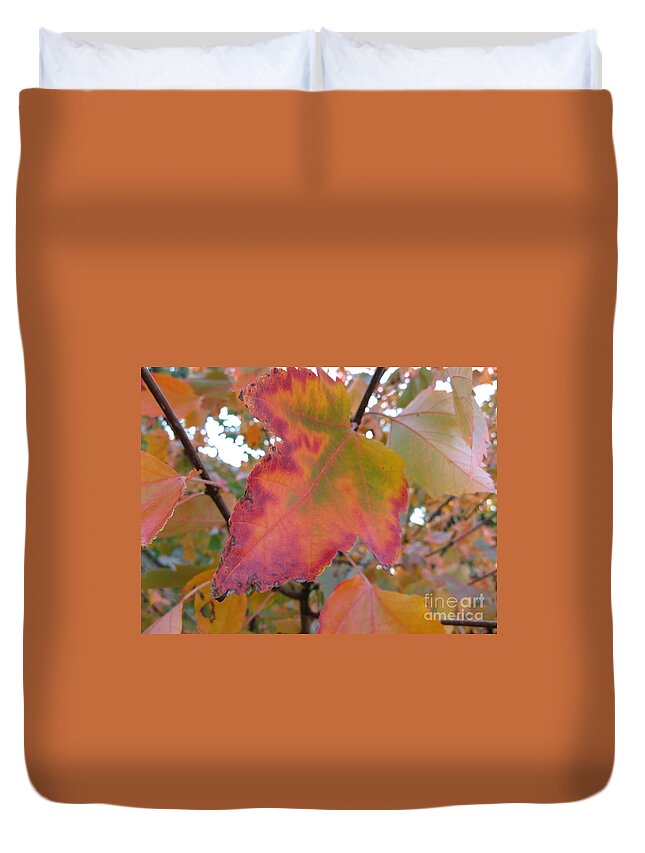 Maple Leaf Duvet Cover featuring the photograph Maple Leaf Autumn by Mars Besso