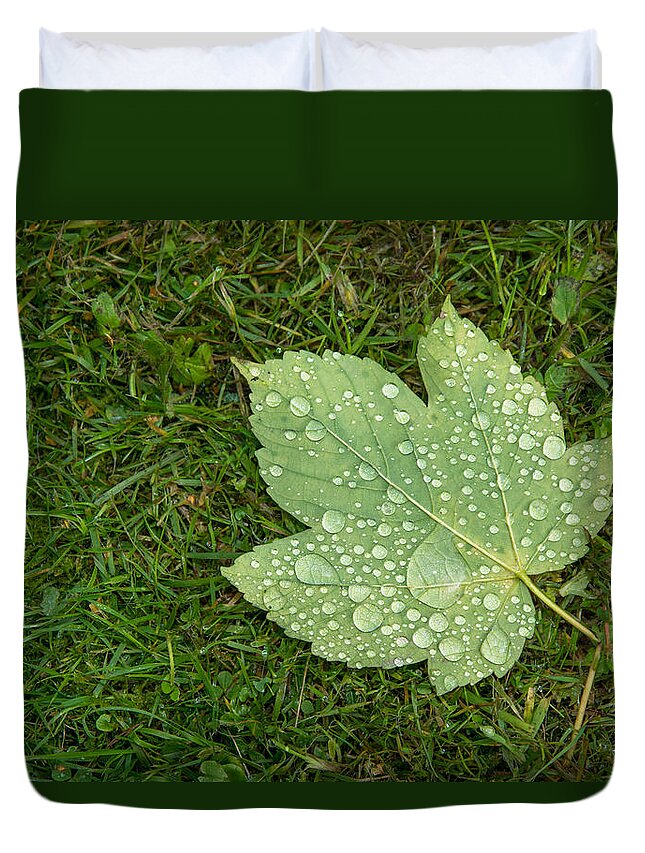 Leaf Duvet Cover featuring the photograph Maple Leaf Covered With Raindrops by Andreas Berthold