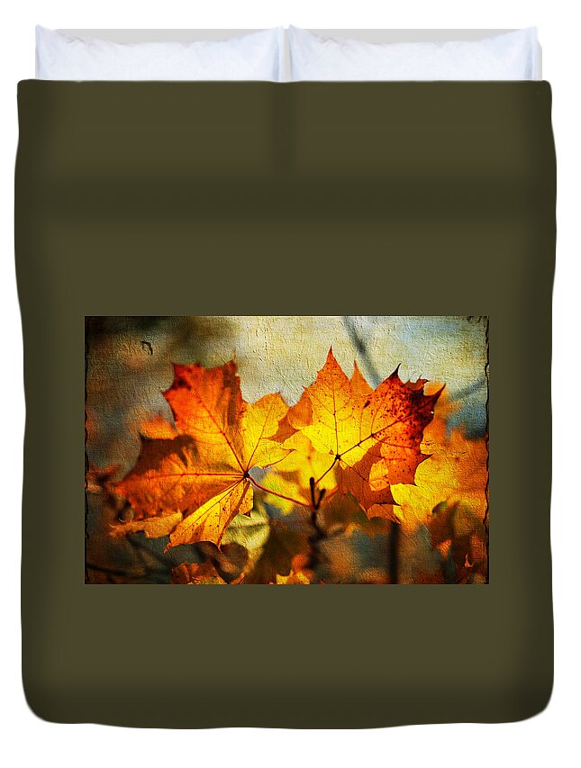 Autumn Duvet Cover featuring the photograph Maple Leaves at Autumn by Jenny Rainbow