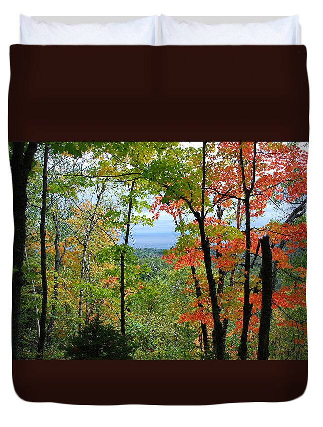 Landscape Duvet Cover featuring the photograph Maples Against Lake Superior - Tettegouche State Park by Cascade Colors