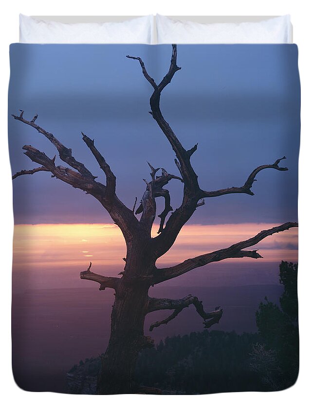 Arizona Duvet Cover featuring the photograph Marble View Snag-V by Tom Daniel