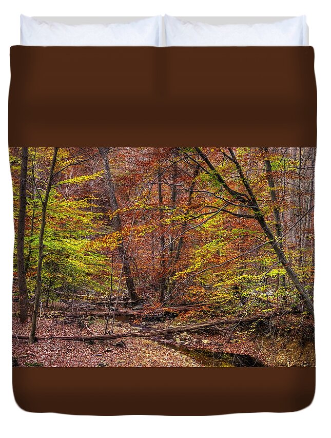 Maryland Duvet Cover featuring the photograph Maryland Country Roads - Autumn Colorfest No. 8 - Catoctin Mountains Frederick County MD by Michael Mazaika