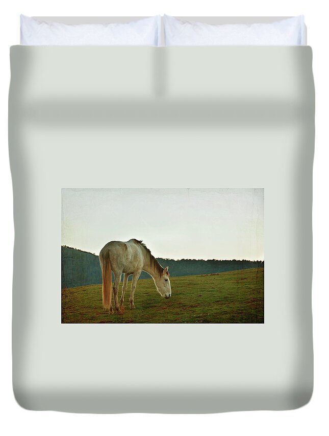 Horse Duvet Cover featuring the photograph Meeting Before Christmas by Maria Jose Valle Fotografia
