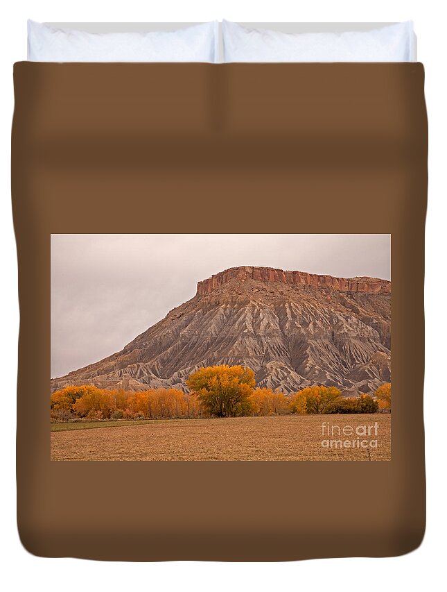 Afternoon Duvet Cover featuring the photograph Mesa by Fred Stearns