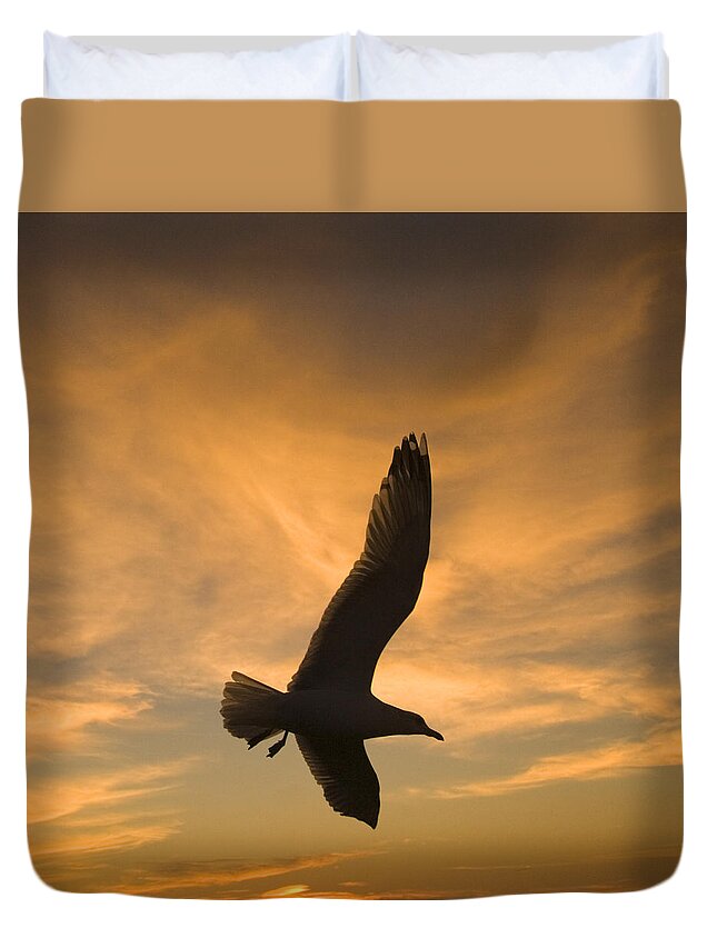 Feb0514 Duvet Cover featuring the photograph Mew Gull At Sunset La Jolla California by Tom Vezo