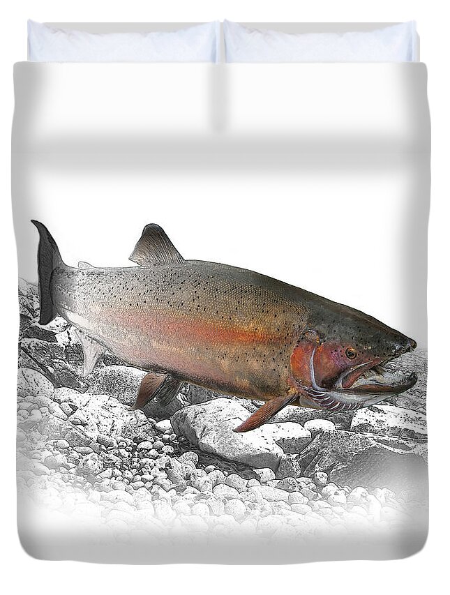 Trout Duvet Cover featuring the photograph Migrating Steelhead Rainbow Trout by Randall Nyhof