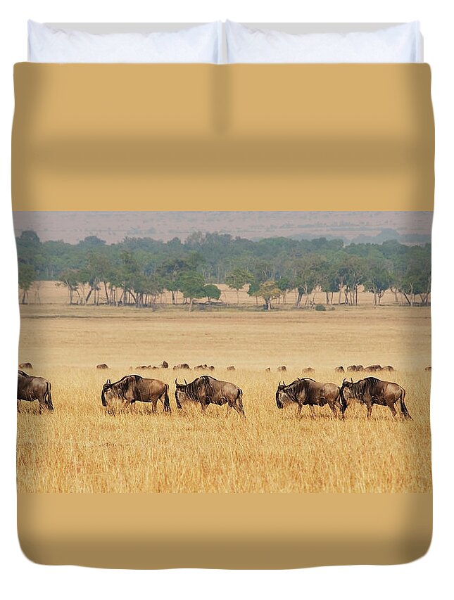 Kenya Duvet Cover featuring the photograph Migration Of Wildebeest by Diane Levit / Design Pics