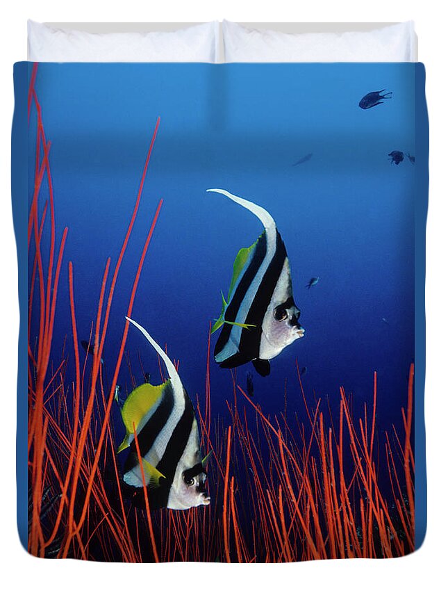 Underwater Duvet Cover featuring the photograph Mildred And George by Tammy616